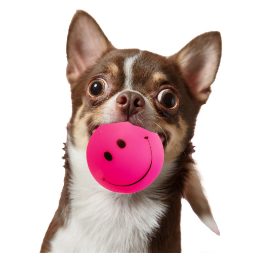 Piłka dla psa HappyPet Smiley Ball uśmiechnięta