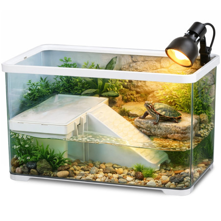 Akwarium dla żółwia Kruger Meier LagunaVerde Turtle, zielone