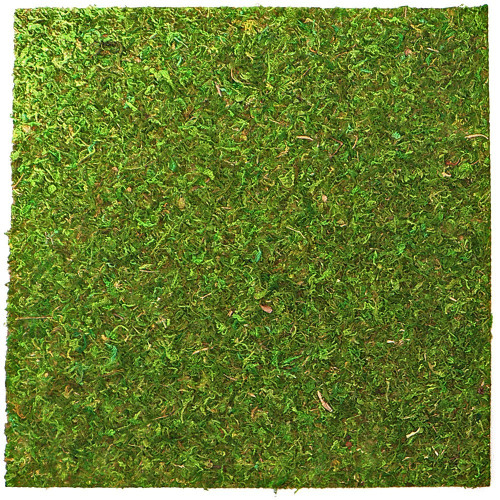 Repti-Zoo Natural Moss Back&Bottom 45x45cm - naturalne tło i podłoże, idealne do wilgotnych terrariów