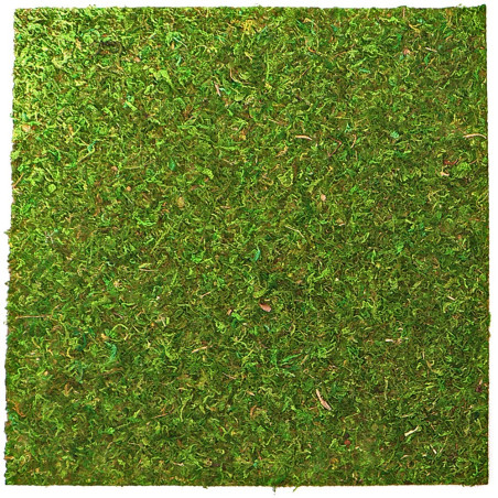 Repti-Zoo Natural Moss Back&Bottom 45x45cm - naturalne tło i podłoże, idealne do wilgotnych terrariów