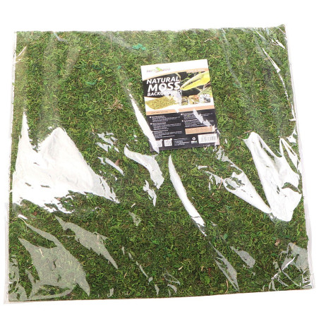 Repti-Zoo Natural Moss Back&Bottom 45x45cm - naturalne tło i podłoże, idealne do wilgotnych terrariów