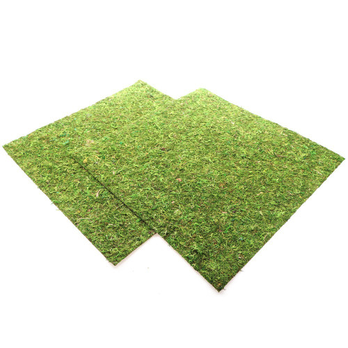 Repti-Zoo Natural Moss Back&Bottom 45x45cm - naturalne tło i podłoże, idealne do wilgotnych terrariów