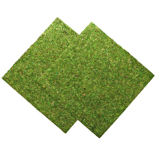 Repti-Zoo Natural Moss Back&Bottom 45x45cm - naturalne tło i podłoże, idealne do wilgotnych terrariów