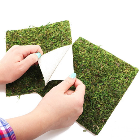 Repti-Zoo Natural Moss Back&Bottom 45x45cm - naturalne tło i podłoże, idealne do wilgotnych terrariów