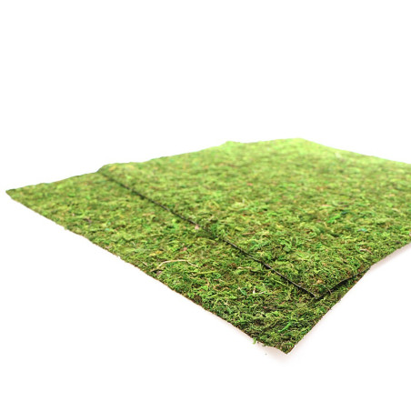 Repti-Zoo Natural Moss Back&Bottom 45x45cm - naturalne tło i podłoże, idealne do wilgotnych terrariów