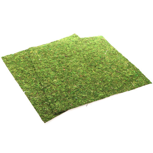 Repti-Zoo Natural Moss Back&Bottom 45x45cm - naturalne tło i podłoże, idealne do wilgotnych terrariów