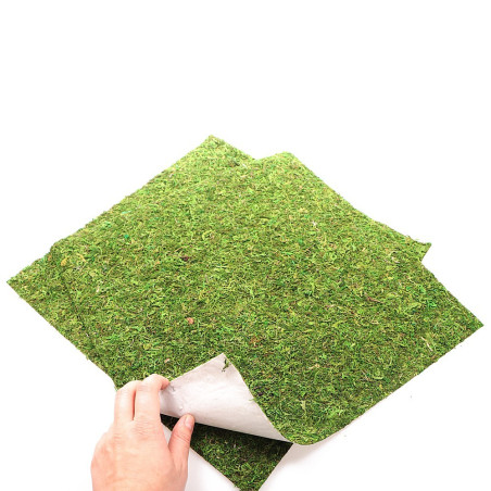 Repti-Zoo Natural Moss Back&Bottom 45x45cm - naturalne tło i podłoże, idealne do wilgotnych terrariów