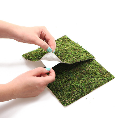 Repti-Zoo Natural Moss Back&Bottom 45x45cm - naturalne tło i podłoże, idealne do wilgotnych terrariów
