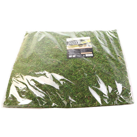 Repti-Zoo Natural Moss Back&Bottom 45x45cm - naturalne tło i podłoże, idealne do wilgotnych terrariów