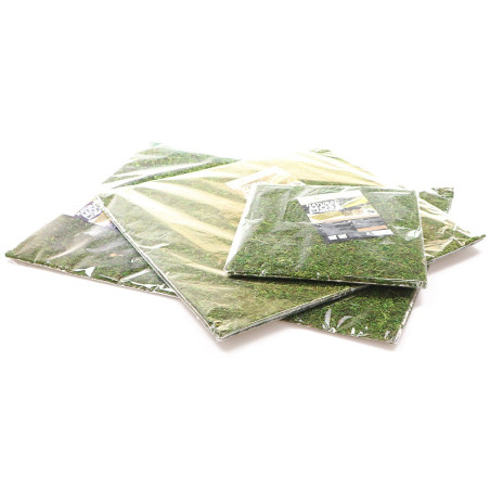 Repti-Zoo Natural Moss Back&Bottom 45x45cm - naturalne tło i podłoże, idealne do wilgotnych terrariów