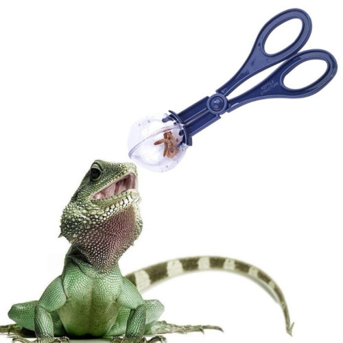 Pęseta Terrario Cricket Catcher – łapacz owadów do terrarium