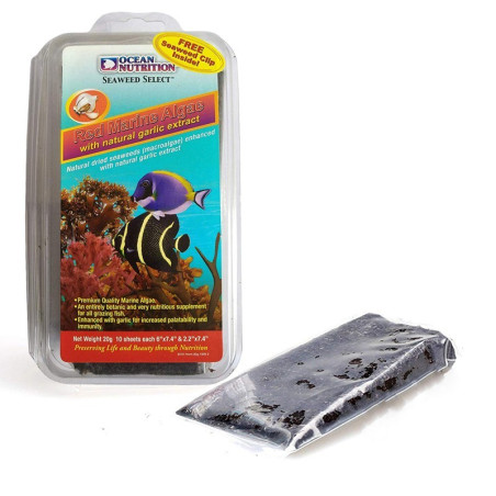 Ocean Nutrition Seaweed Red 8g - algi z czosnkiem | Pobudza apetyt i kondycję ryb