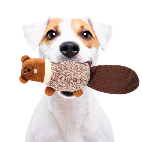 Pet Nova zabawka pluszowa - bóbr piszczący 47cm | Wytrzymała, idealna do aportu