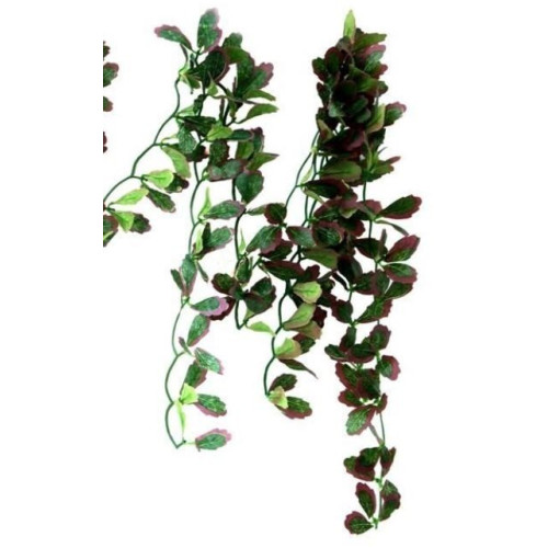 Repti-Zoo roślina wisząca bluszcz czerwony 40cm - Idealna do terrarium