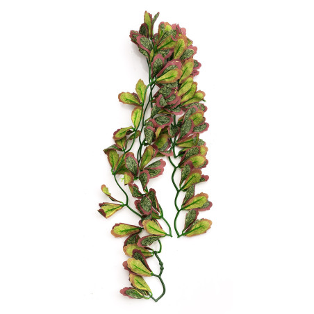Repti-Zoo roślina wisząca bluszcz czerwony 40cm - Idealna do terrarium