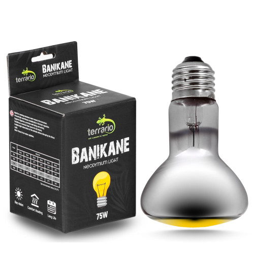 Terrario Banikane Neodymium Light - żarówka grzewcza neodymowa 75W | Optymalne ciepło dla gadów
