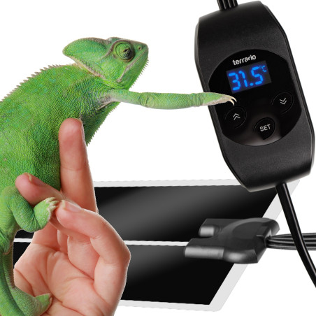 Terrario Amarillo 45W - mata grzewcza z termostatem LCD | Precyzyjna kontrola temperatury dla gadów
