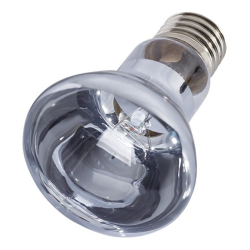Repti-Zoo Neodymium Daylight 50W - Naturalne światło i ciepło dla gadów