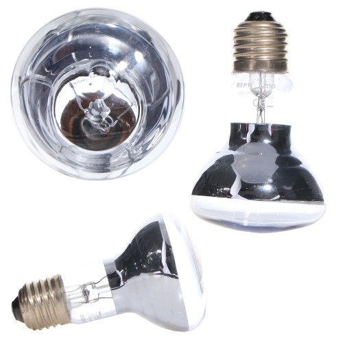Repti-Zoo Neodymium Daylight 50W - Naturalne światło i ciepło dla gadów