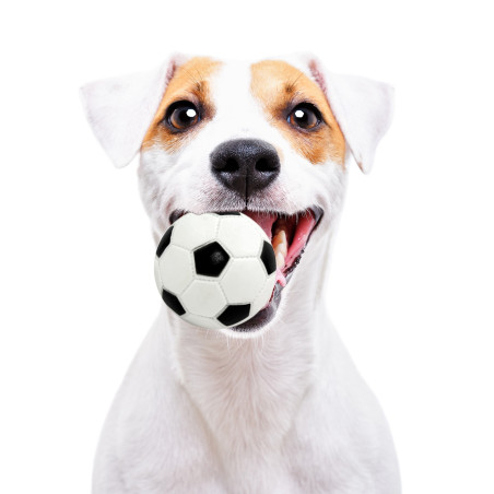 Pet Nova zabawka gumowa - piłka futbolowa 7cm - Wytrzymała, idealna do aportu