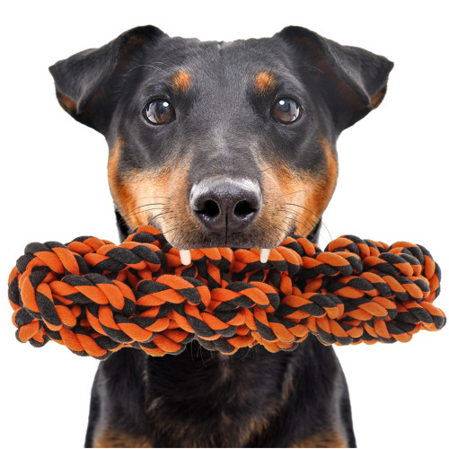 HappyPet Knots Extreme Log - wytrzymały, angażujący gryzak dla psów