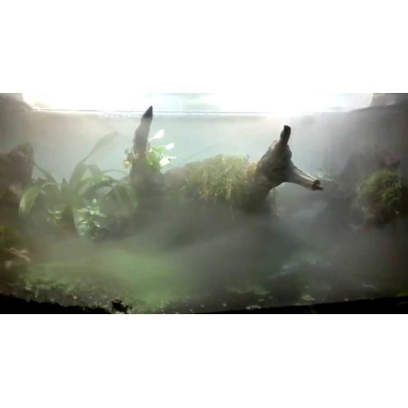 Repti-Zoo TerraFog generator mgły z podświetleniem - Idealny do terrarium