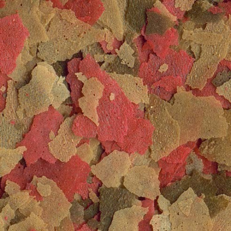 Tetra Goldfish Flakes 250ml | Zdrowe karmienie i intensywne ubarwienie