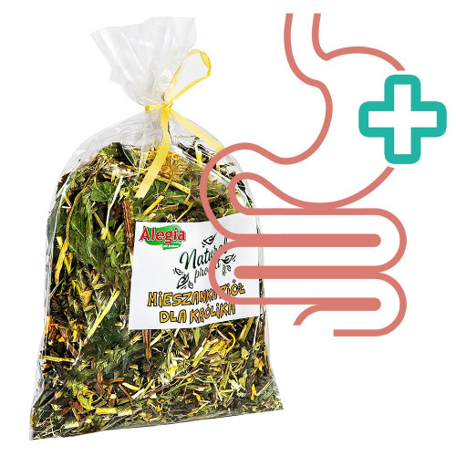 Mieszanka ziół Alegia Codzienne 100 g dla królików