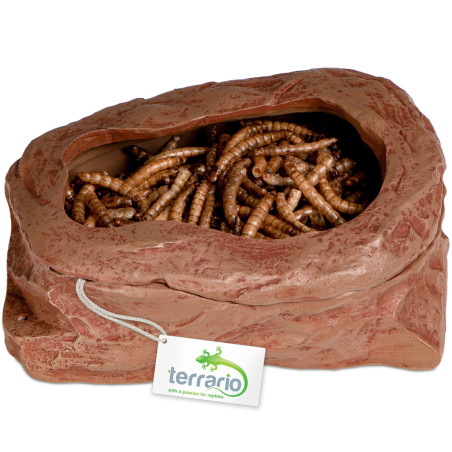 Terrario SplitRock Smart Bowl – miska do karmienia żywym pokarmem 11x9x4 cm - Naturalne karmienie, szybka wysyłka