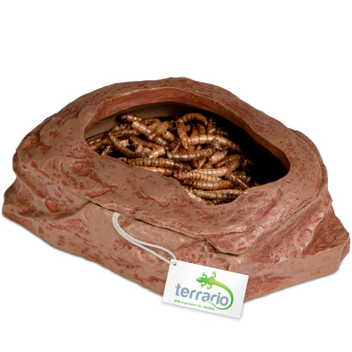 Terrario SplitRock Smart Bowl – miska do karmienia żywym pokarmem 11x9x4 cm - Naturalne karmienie, szybka wysyłka