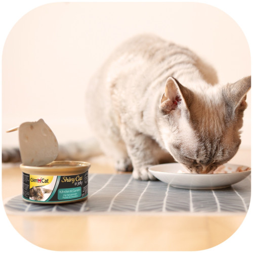 GimCat ShinyCat in Jelly 70g kurczak i krewetki - ulubiony przysmak kota