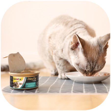 GimCat ShinyCat in Jelly 70g kurczak i krewetki - ulubiony przysmak kota
