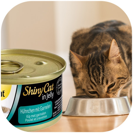 GimCat ShinyCat in Jelly 70g kurczak i krewetki - ulubiony przysmak kota