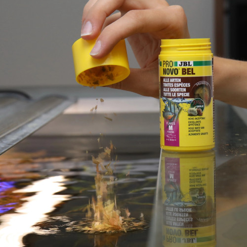 JBL Pronovo Bel Flakes M 250ml - Wzmacnia kolor i kondycję ryb