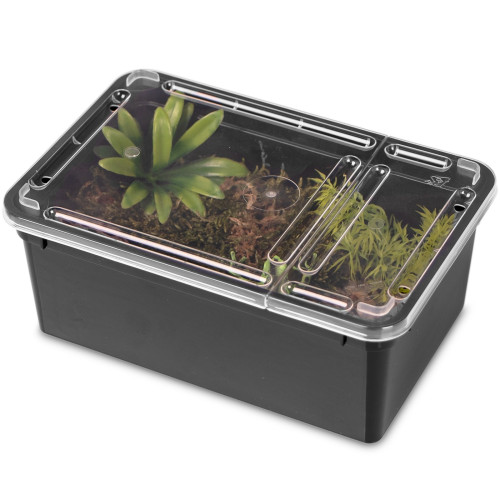 Terrarium plastikowe Terrario Reptiland Black 19×12×7,5 cm czarne