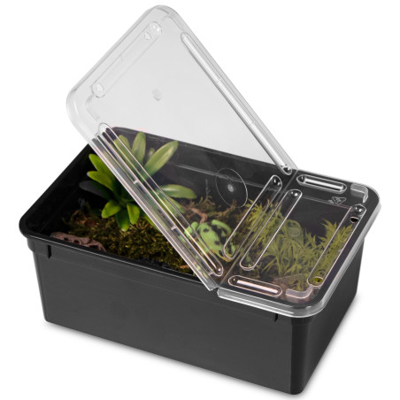 Terrarium plastikowe Terrario Reptiland Black 19×12×7,5 cm czarne