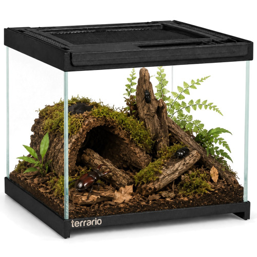 Terrarium szklane Terrario Frevo Clear 20×20×17 cm, przezroczyste