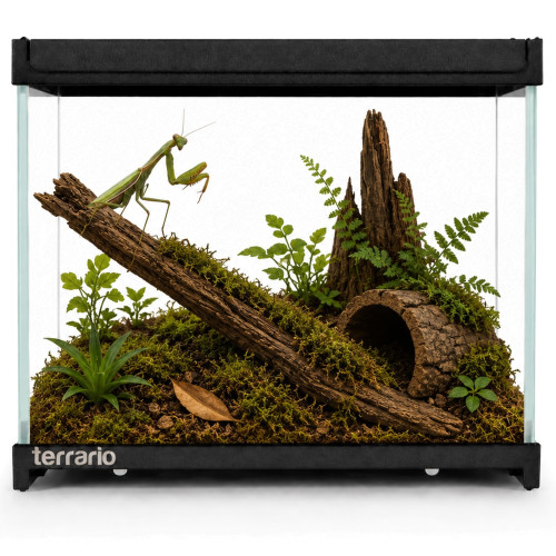 Terrarium szklane Terrario Frevo Clear 20×20×17 cm, przezroczyste