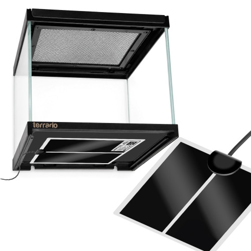 Terrarium szklane Terrario Frevo Clear 20×20×17 cm, przezroczyste