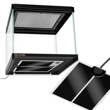 Terrarium szklane Terrario Frevo Clear 20×20×17 cm, przezroczyste