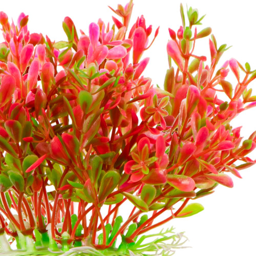 Kruger Meier Plant Fluo Big roślinka sztuczna - Idealna do akwarium