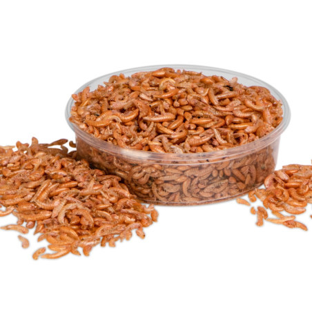 Pokarm suszony Terrario Repti Bites Gammarus 125 ml - kiełż zdrojowy dla gadów