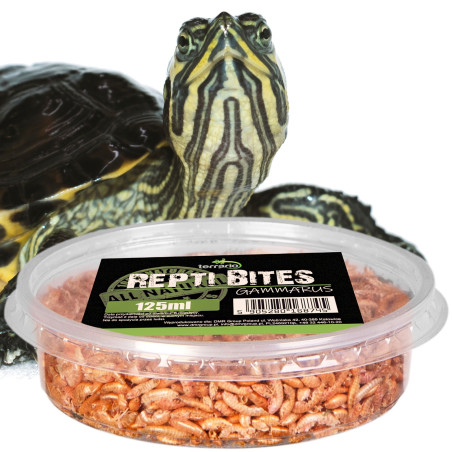 Pokarm suszony Terrario Repti Bites Gammarus 125 ml - kiełż zdrojowy dla gadów