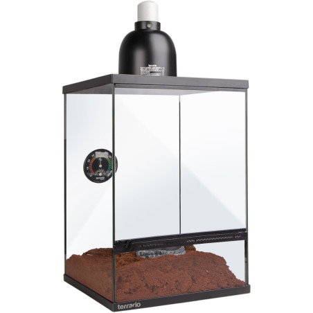 Terrario Oasis Verde 10 - terrarium 30x30x45 z zestawem | Idealne dla gadów, szybka wysyłka