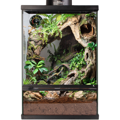 Terrario Oasis Verde 10 - terrarium 30x30x45 z zestawem | Idealne dla gadów, szybka wysyłka