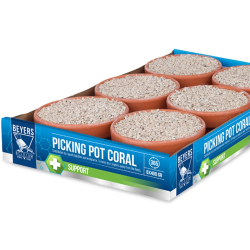 Beyers Picking Pot Coral 5+1 kostki mineralne dla gołębi - Wzmacnia pióra i kondycję