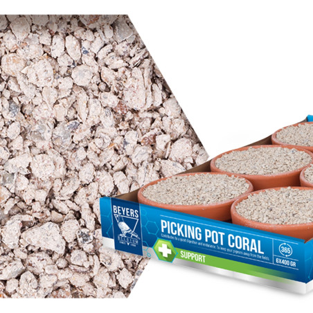 Beyers Picking Pot Coral 5+1 kostki mineralne dla gołębi - Wzmacnia pióra i kondycję