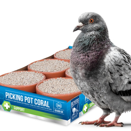 Beyers Picking Pot Coral 5+1 kostki mineralne dla gołębi - Wzmacnia pióra i kondycję