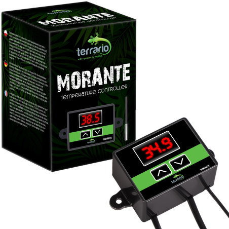 Terrario Morante termostat terrarystyczny z sondą - Precyzyjna kontrola temperatury