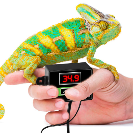 Terrario Morante termostat terrarystyczny z sondą - Precyzyjna kontrola temperatury